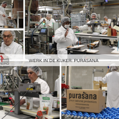 Werk in de kijker_ Purasana
